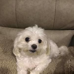 Meet your Posher, Candice